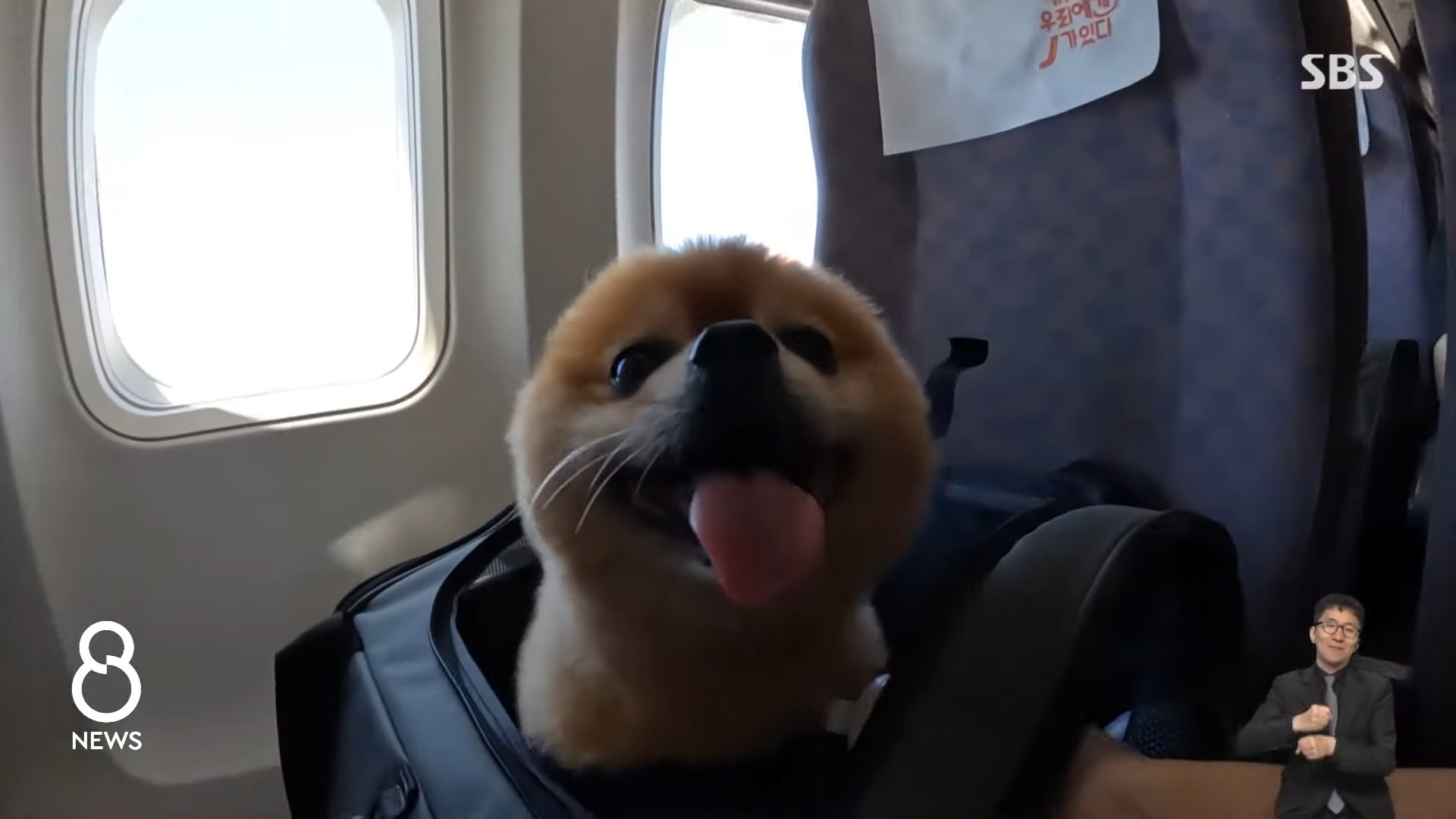 제주도 왕복 비행기 75만원인데 좌석 완판된 이유.jpg | 인스티즈