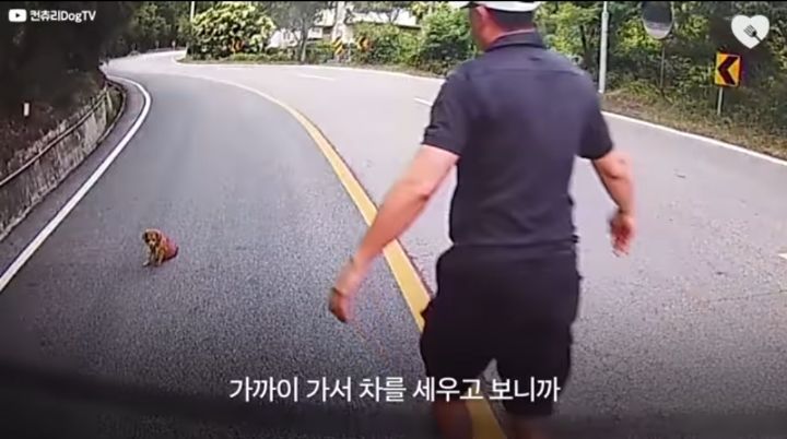 운전하다 댕줍하신 어느 운전자분 사연...ㅠㅠ | 인스티즈