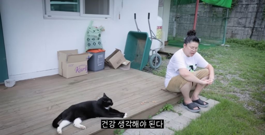 신발 물어 뜯은 고양이 찾아간 이영자 | 인스티즈