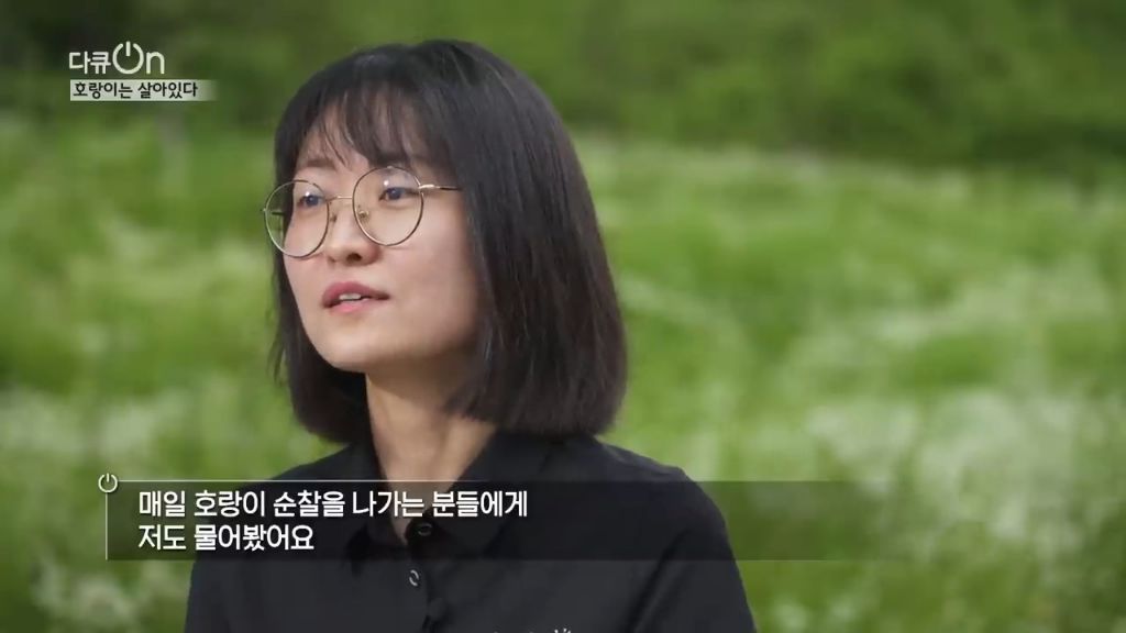 '절멸'의 '한국 호랑이'. 🐅 그 100년간의 이야기. -마지막- | 인스티즈