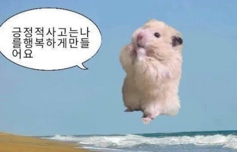 뭔가 이상하게 위로가 되는 짤들.jpg | 인스티즈