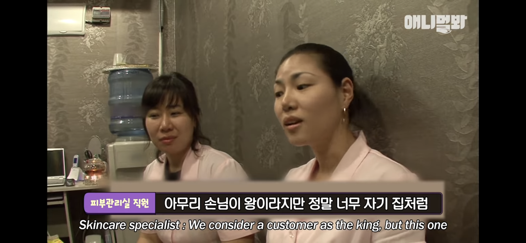 길고양이 목에 쪽지를 달자 생긴 영화같은 일 | 인스티즈