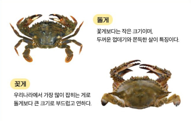 꽃게장 이미지