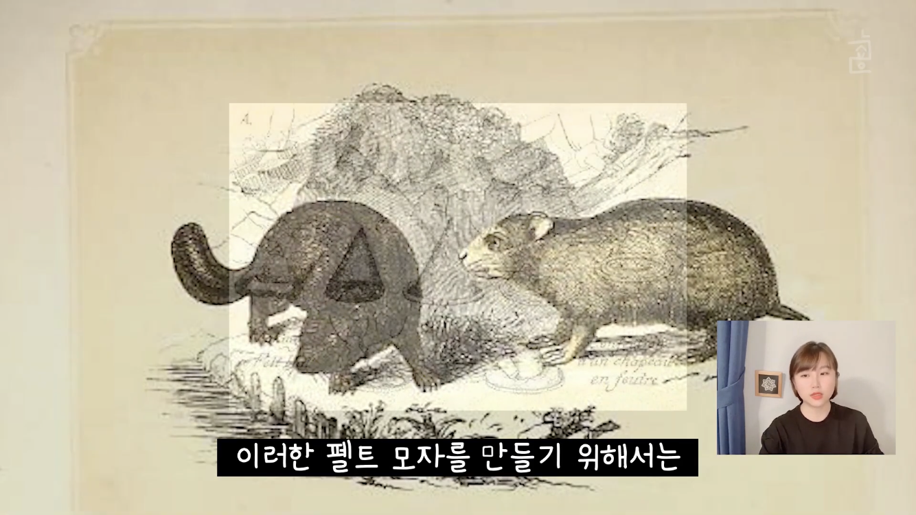이상한 나라의 앨리스, 모자장수가 미친 이유는? | 인스티즈