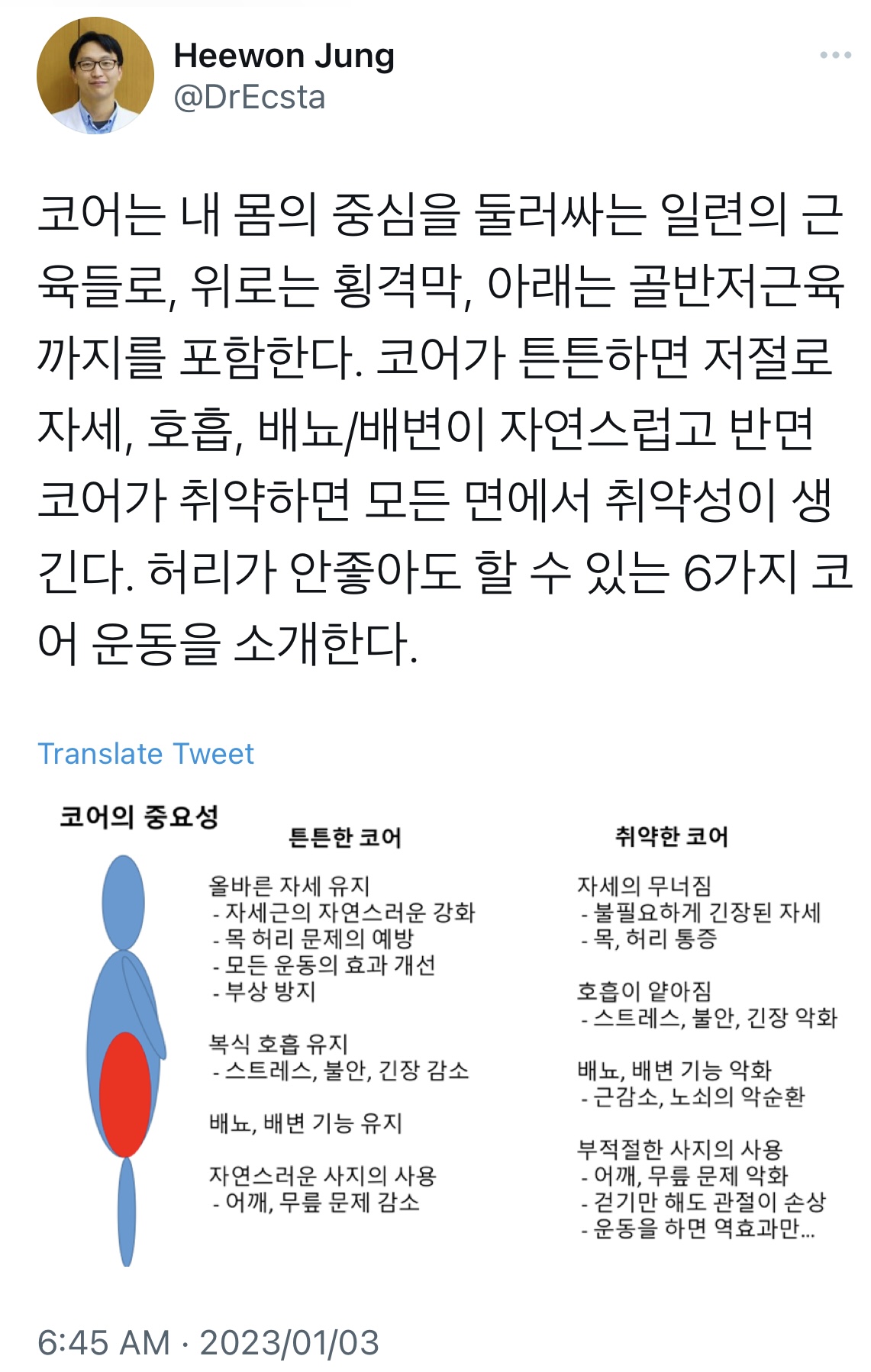코어의 중요성과 허리가 안좋아도 할 수 있는 6가지 운동법 | 인스티즈