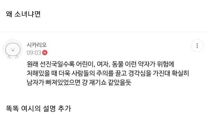 어제자 부산에 설치 된 북극곰 vs 스페인에 설치 된 소녀상 | 인스티즈