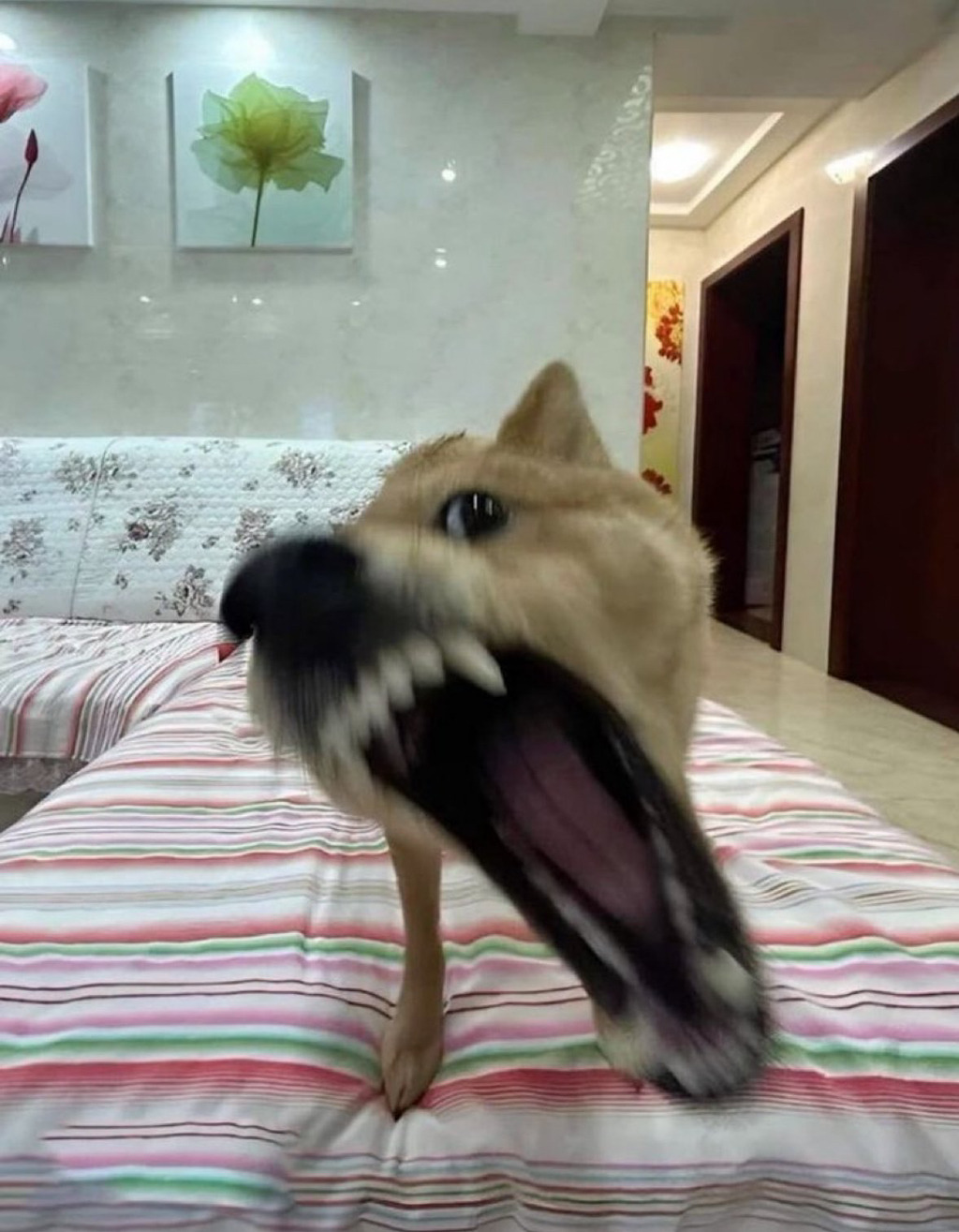 열등감이 제일 무서운거같은 달글 | 인스티즈