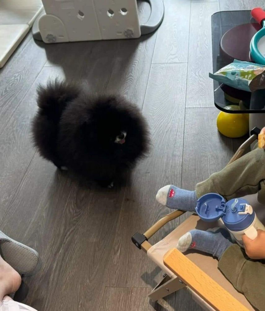 정체불명의 외눈박이 생물체.jpg | 인스티즈