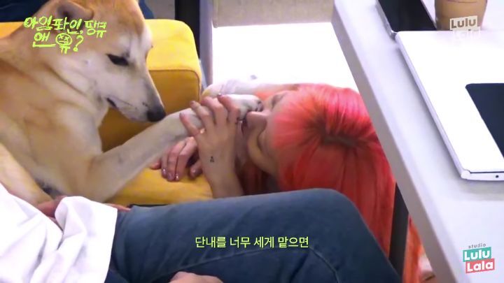 강아지 발꼬순내 좋아하는 현아.jpg | 인스티즈