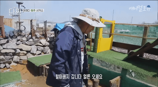 겁나 재밌게 사는 할아버지와 냥댕이들ㅋㅋㅋ.gif | 인스티즈