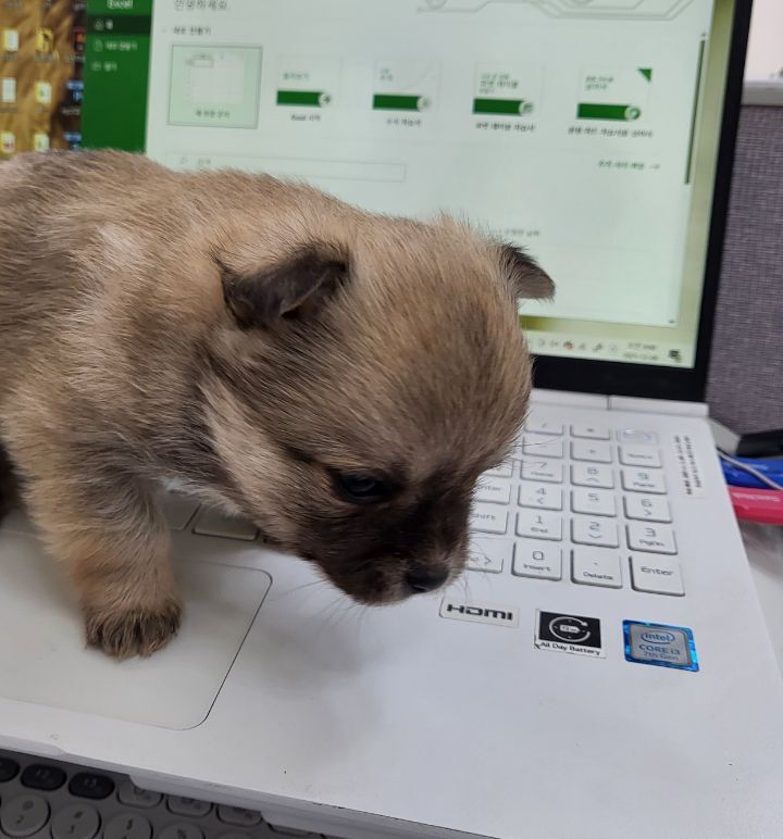 (공지라니... ++추가)새로생긴 회사 복지.. 미쳐서 도저히 일을 못하겠네.. (추가....)++추가 | 인스티즈