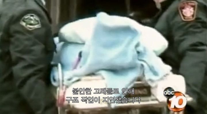 어느날 소방서에 고래가 조련사를 잡아 먹었다는 신고가 들어왔다 .jpg (스압주의) | 인스티즈