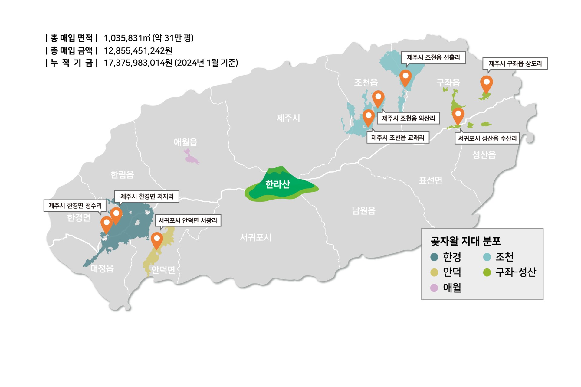 제주도에서 나무 10028그루가 베어진 이유 | 인스티즈