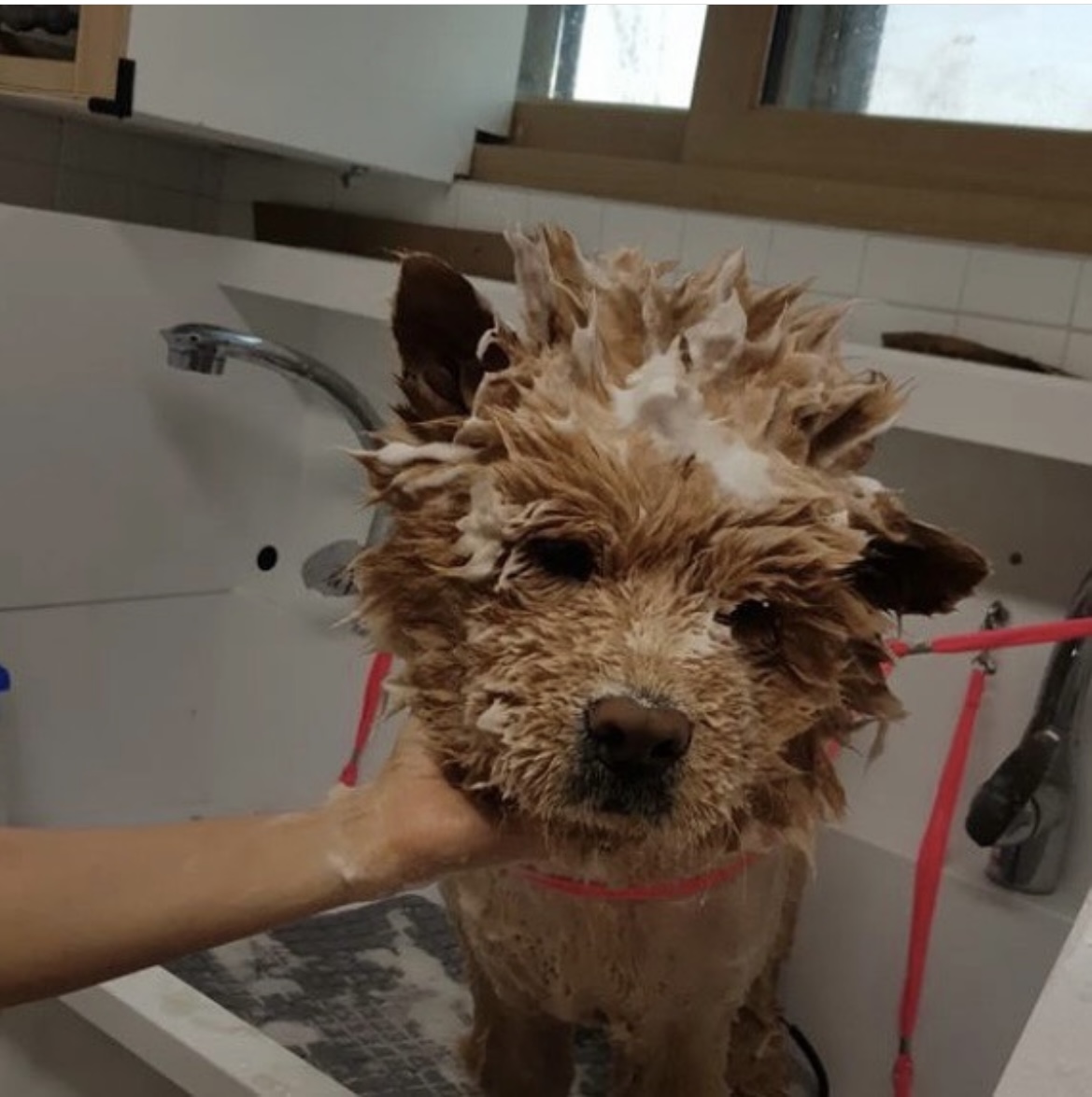 어느 팬(fan)의 선물로 시작된 테디의 안타까운 이야기 | 인스티즈