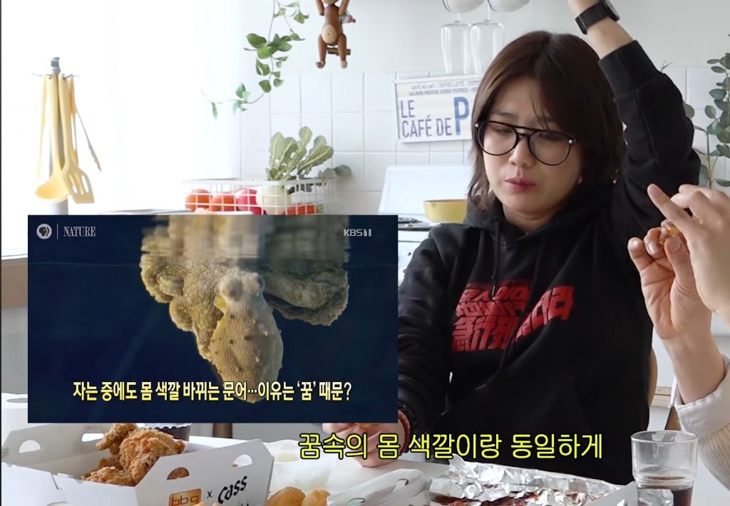 알고보면 직장인들의 심경을 담은 슬픈 노래였던 안예은의 문어의 꿈 | 인스티즈