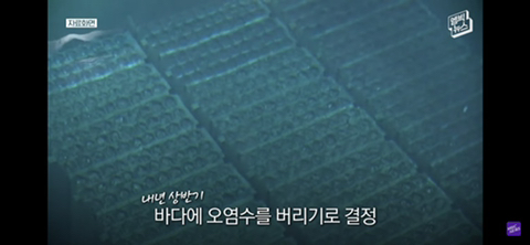 방사능 오염수에서 자란 맛 좋은 일본 광어 | 인스티즈