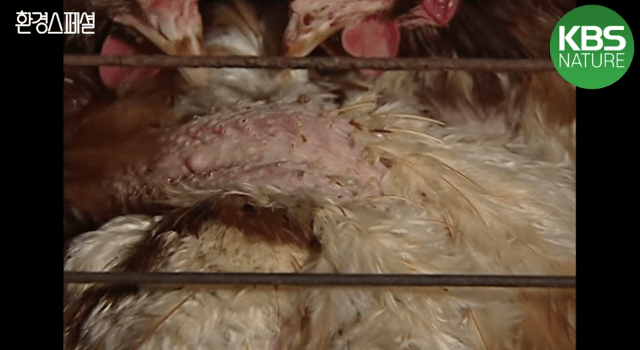 a79523f433997bdf89485fa431c7345ba8b608aa