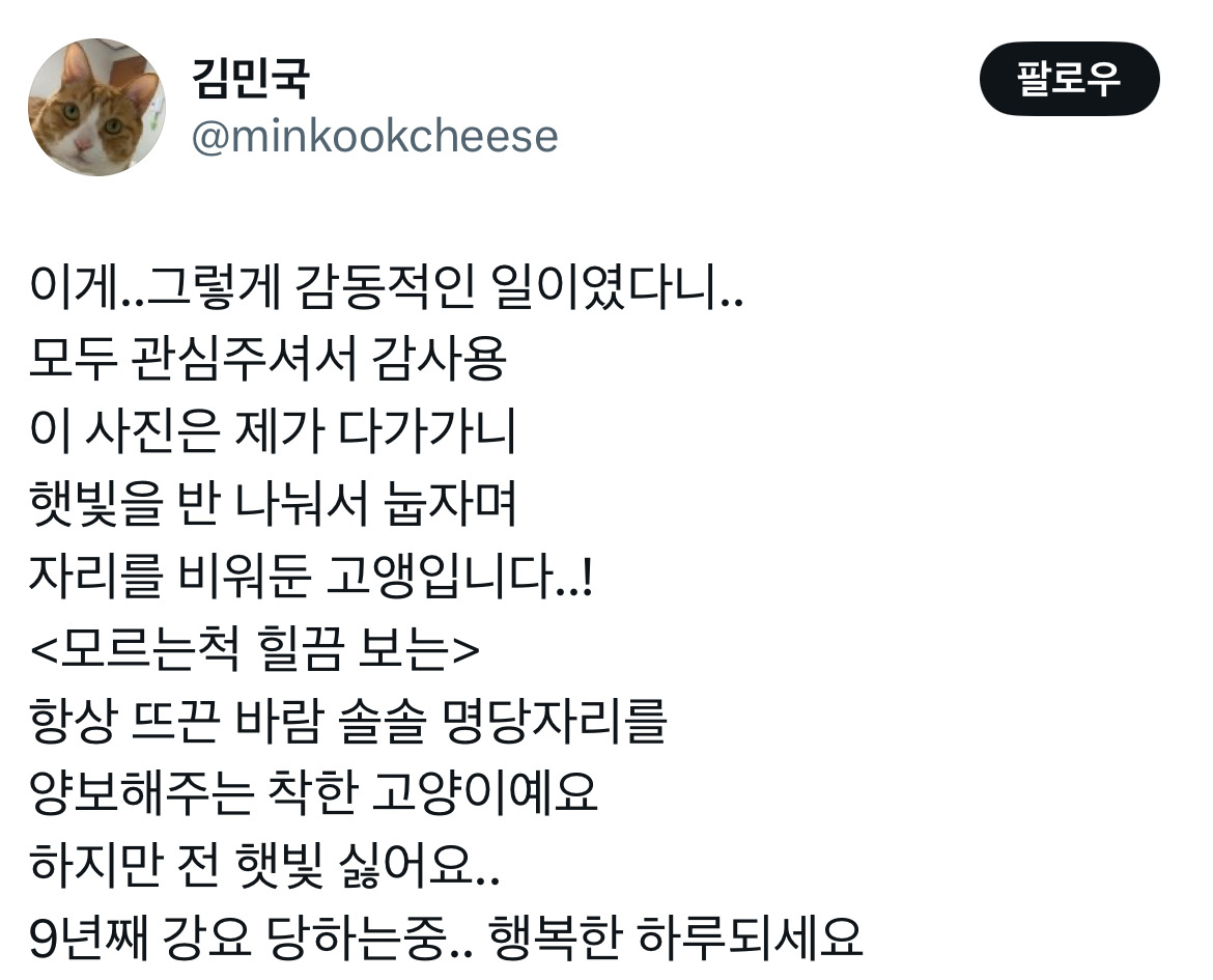 고양이가 하도울길래 왜그런가 했더니.jpg | 인스티즈