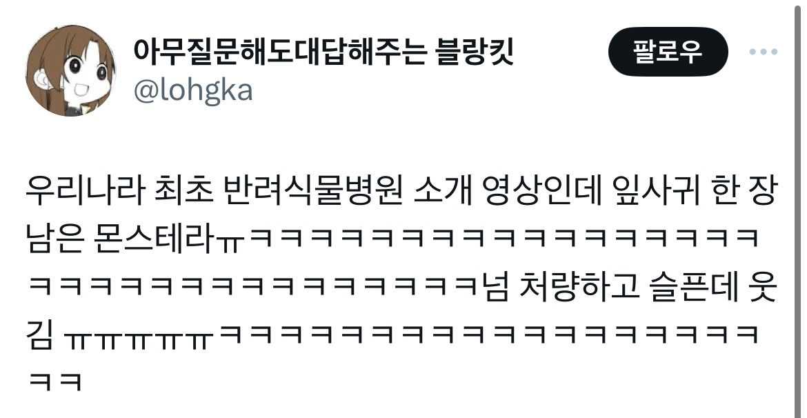 잎 한장만 남은 몬스테라 | 인스티즈