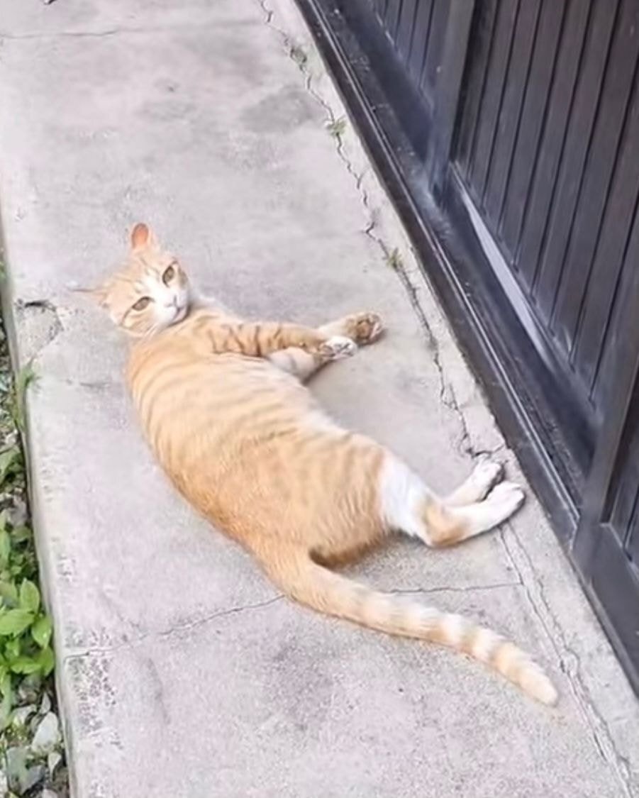 a7d48cf020064dee7e6c49adb6cce5fd78329463