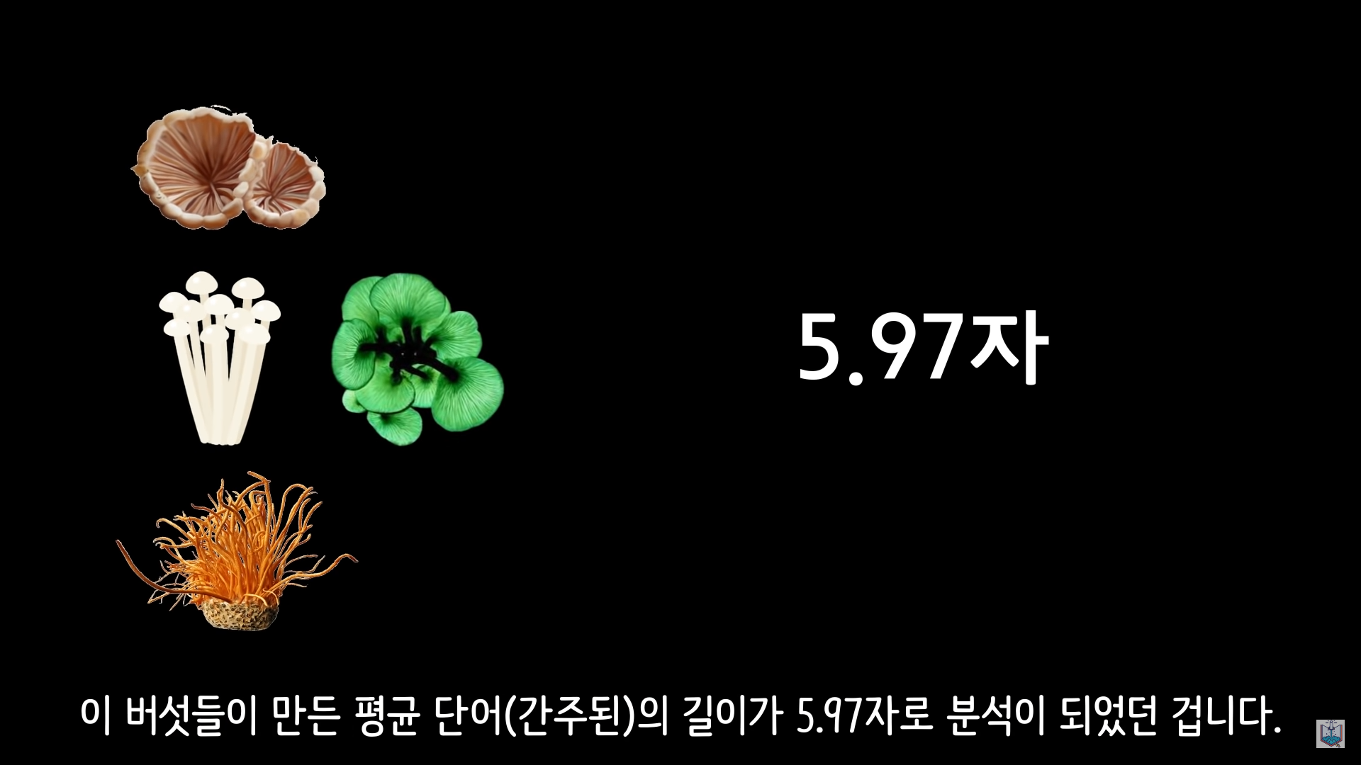 버섯이 단어와 문장을 사용해 서로 대화하고 있을지도 모른다고? | 인스티즈