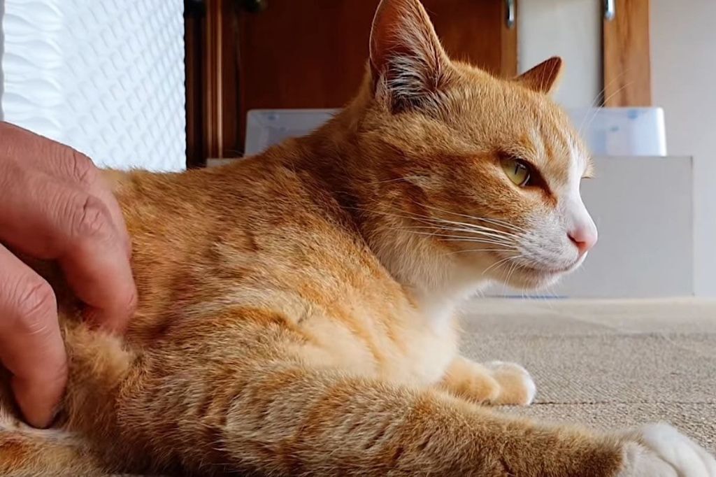 a7ebc83aaff4bb00c292e1794dd57be98b409b97