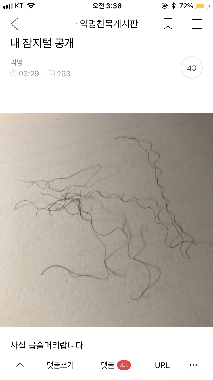 갤러리 짤털 짤털 짤털 짤털 짤털 짬털 (100장 깍 채움) | 인스티즈