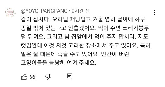 예전과 달라진 길고양이 급식소 겨울집 여론 | 인스티즈