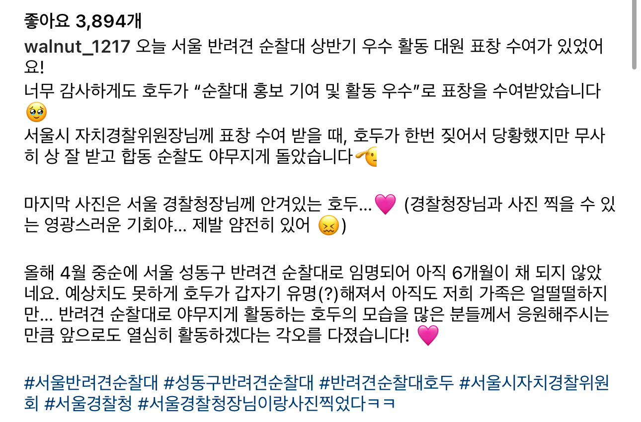 서울시 성동구 반려견 순찰대로 유명한 호두 순찰대 홍보 기여 및 활동 우수로 감사장 받음 | 인스티즈