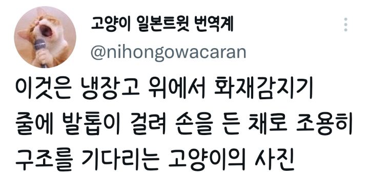 주인이 구조해주길 기다리는 고양이.twt | 인스티즈