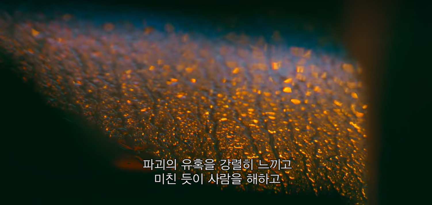 생각보다 더 적나라한 넷플릭스 유영철 다큐.jpg | 인스티즈