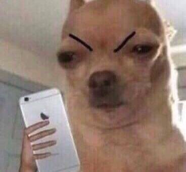 인류의 천박함에 충격받아 방언터진 AI.twt (기모띠 주의) | 인스티즈