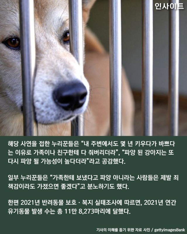 요즘 반려견 파양하는 청년들이 '죄책감' 안느끼려고 쓰는 방법 | 인스티즈