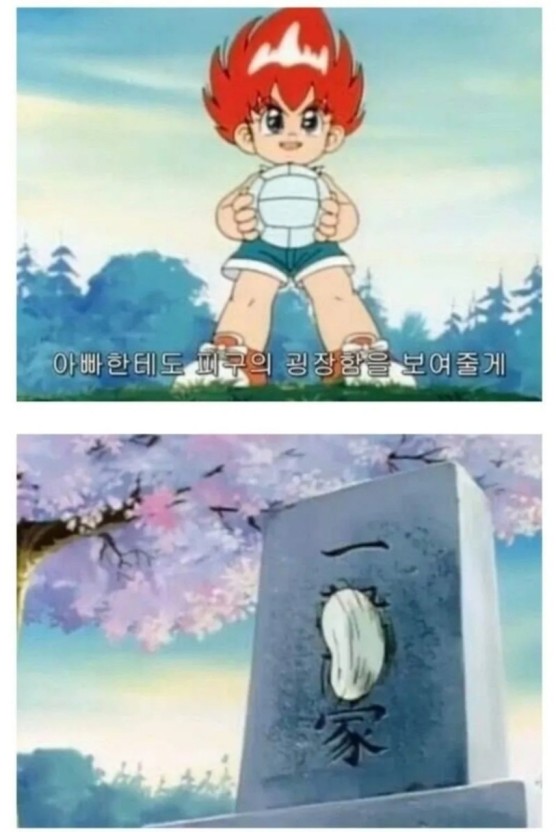 취향 이미지