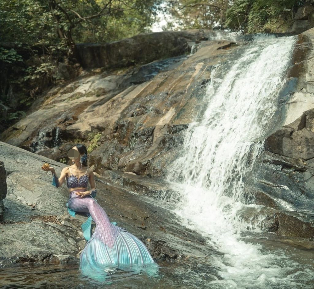 프리다이빙 배우고 넘어간다는 취미 머메이드 다이빙 | 인스티즈