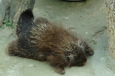 a8915e537c3dfc4291e93a67615ca56294b6dce5