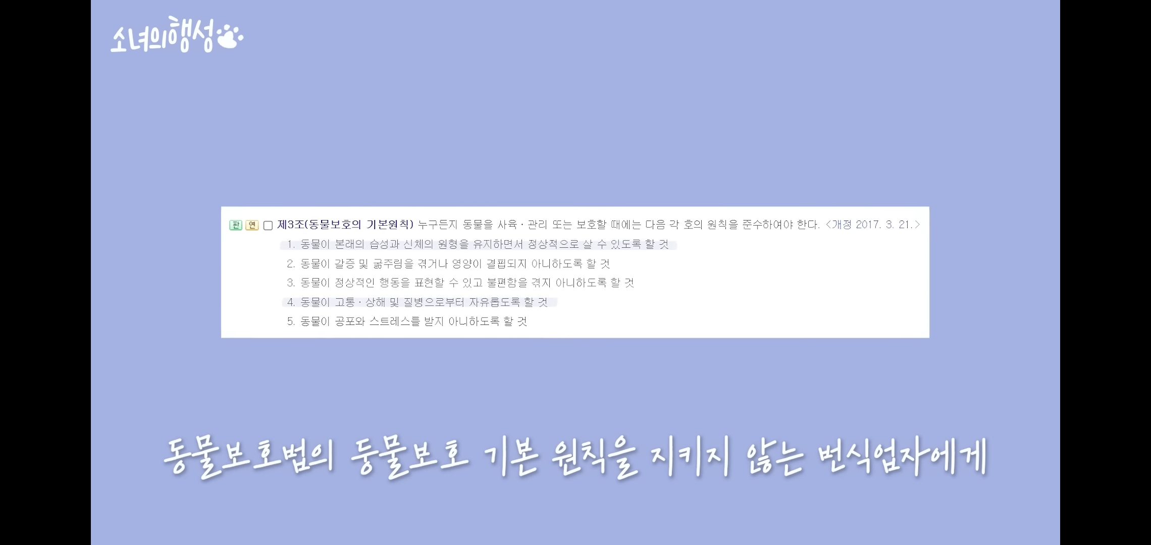 번식장에서 강아지 구조 후 치료했더니 절도죄로 고소당한 유튜버.jpg | 인스티즈