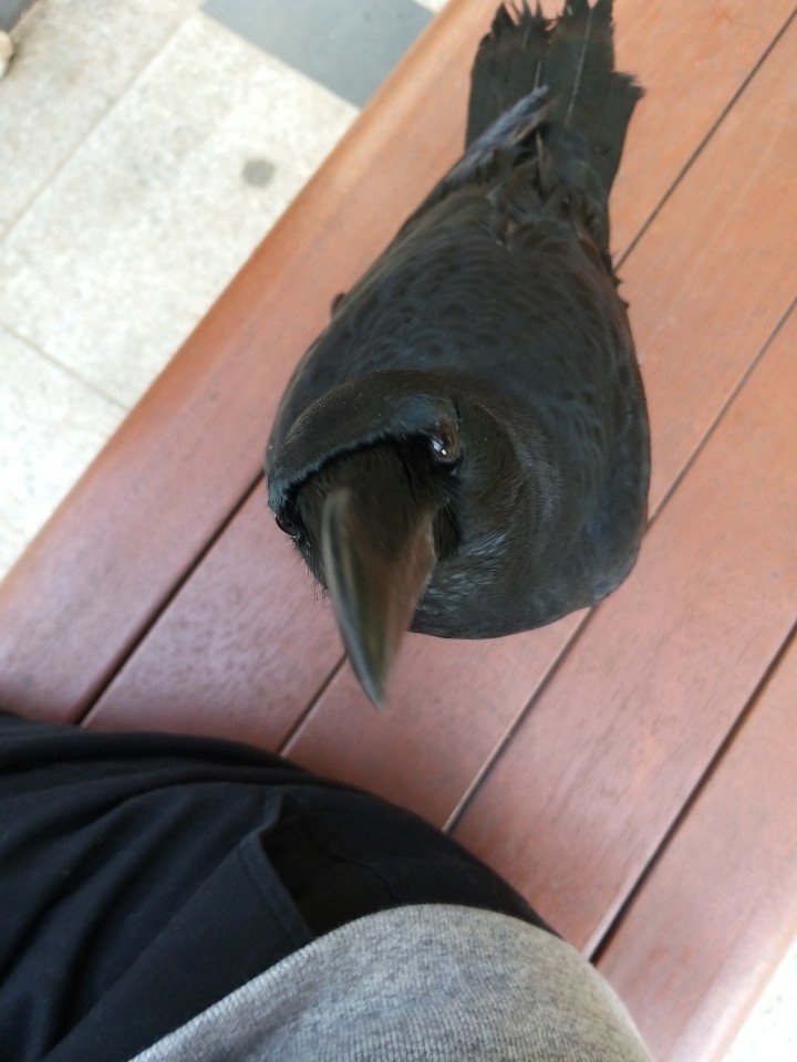 내 친구 ㅁㅌㅊ?.jpg | 인스티즈