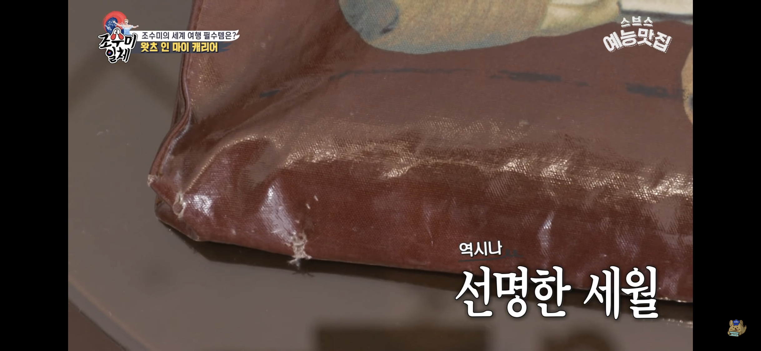 월드클래스 조수미의 여행용 캐리어 🧳 | 인스티즈