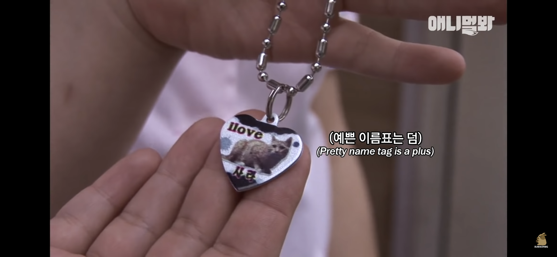 길고양이 목에 쪽지를 달자 생긴 영화같은 일 | 인스티즈