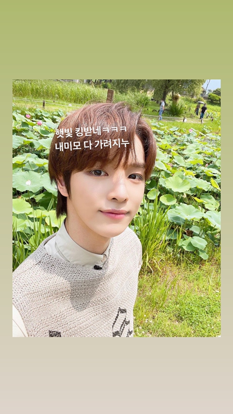 인스타 스토리 보고 소개팅 갈말 결정하기 | 인스티즈