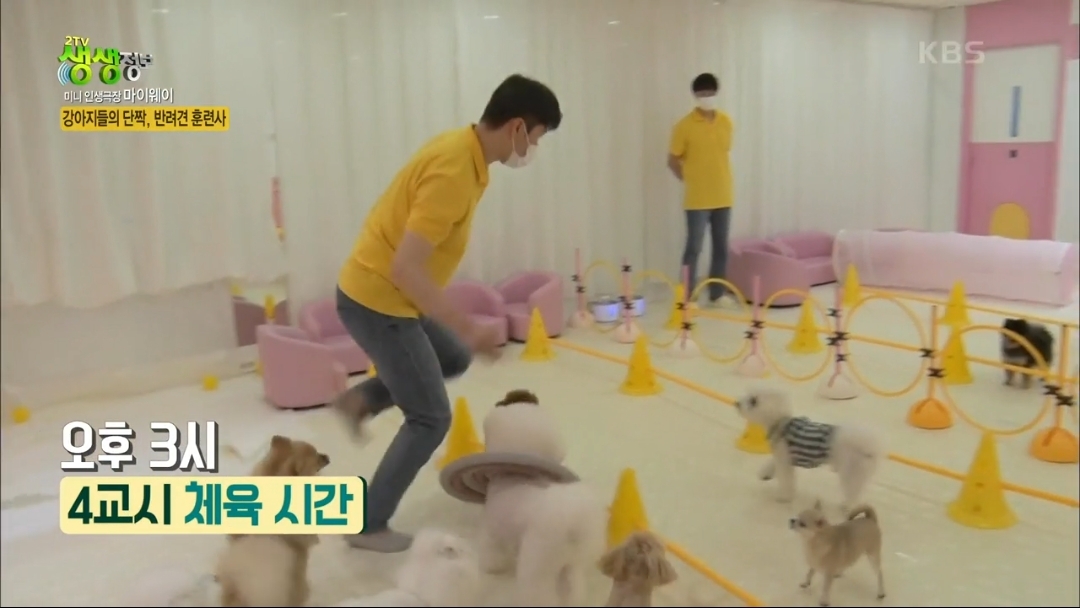 강아지 유치원.jpg | 인스티즈