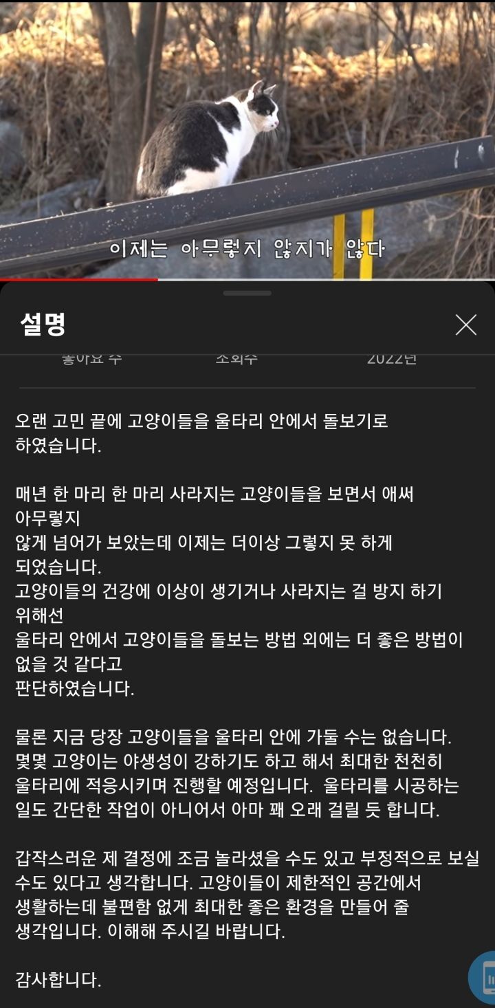 방금 올라온 양어장 고양이 유튜버 haha ha 입장문.jpg | 인스티즈