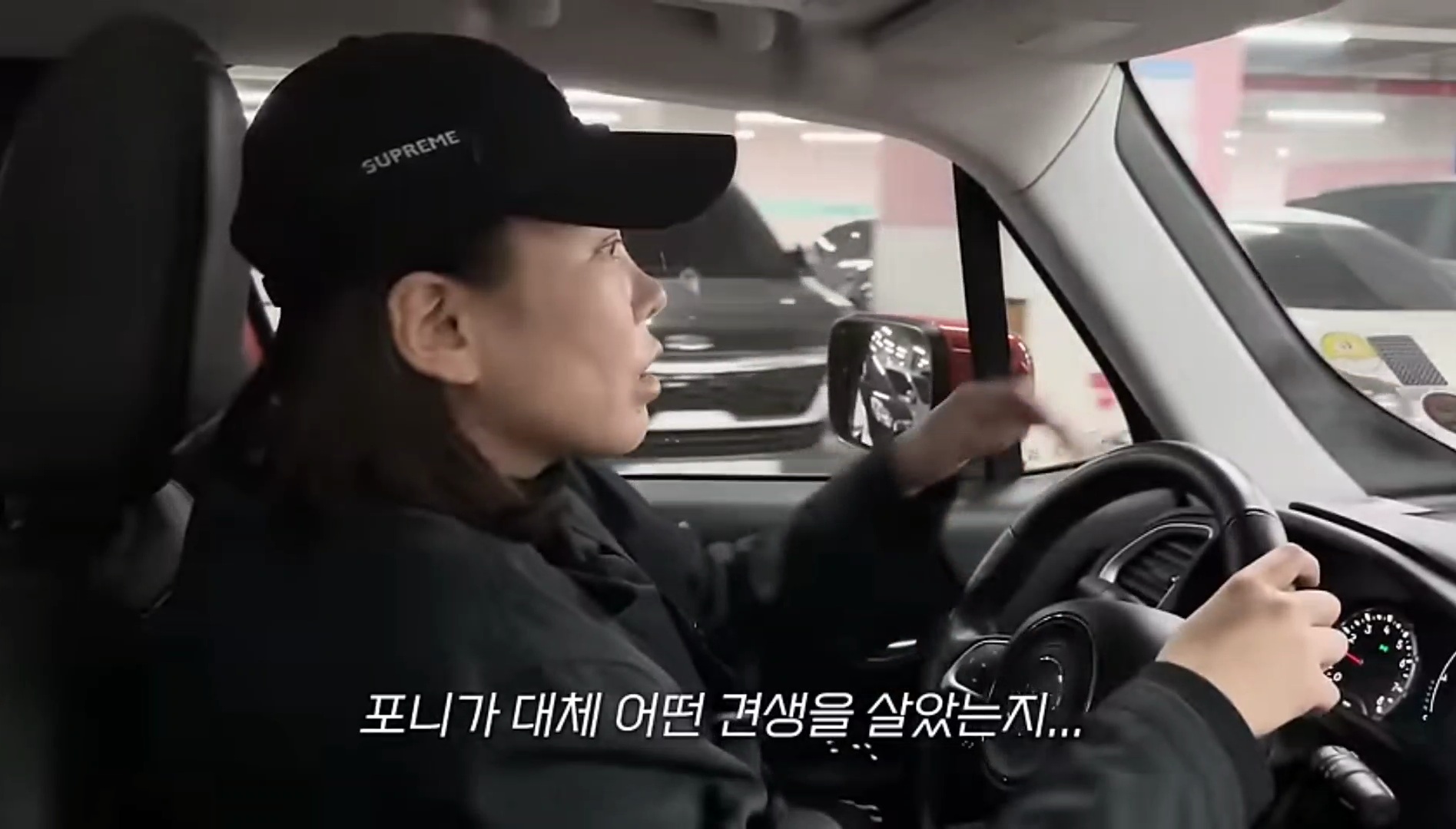 드디어 강아지 입양한 가비.youtube | 인스티즈