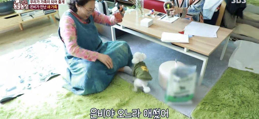 서로를 위해 헤어지는 할머니와 은비 | 인스티즈