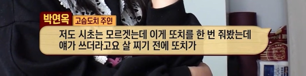 따봉고슴도치 휴지심 좋아도치 | 인스티즈