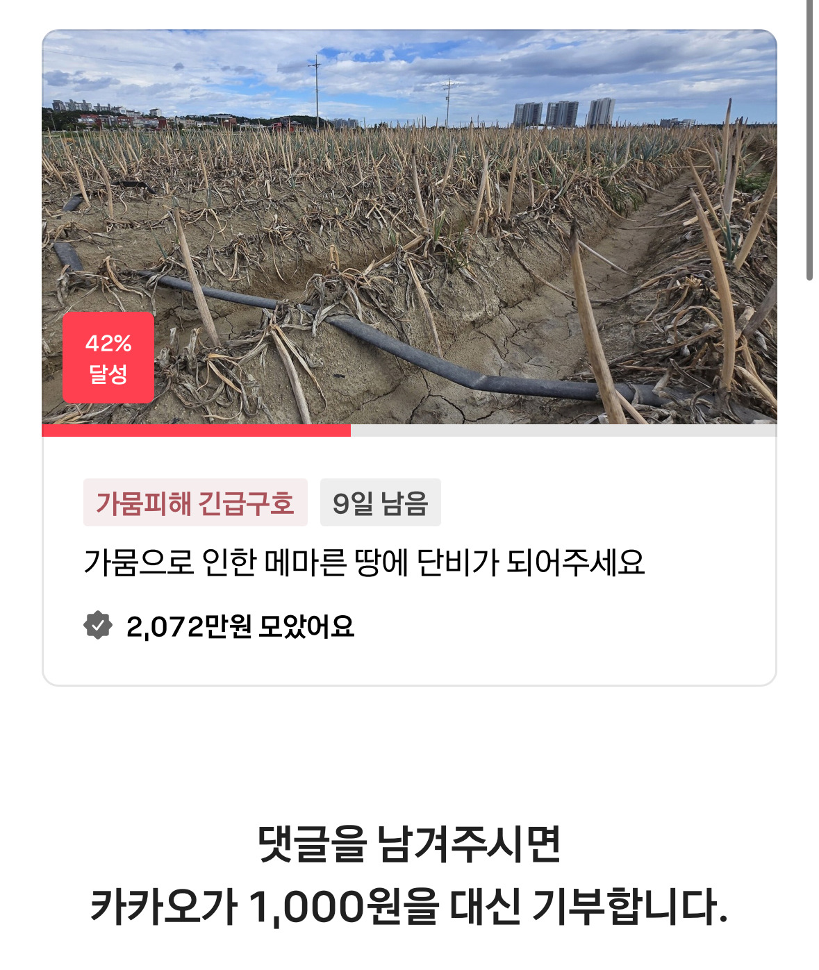 댓글만 쓰고 1,000원 벌기 (진짜임) | 인스티즈