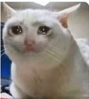 INFP만 사는 나라 이야기 | 인스티즈