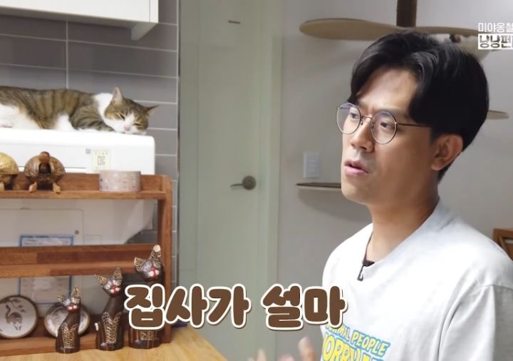 고양이 벽짚 챌린지는 진짜 지능과 관련 있을까? | 인스티즈