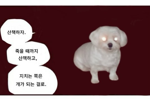 인스타 부계에 힘들때마다 올린짤 모음Zip | 인스티즈